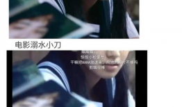 娱乐圈吃瓜爽文合集小说,从吃瓜到爆瓜的爽文之旅